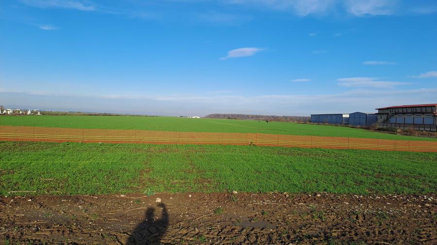 Teren de 22900 mp, în Afumați