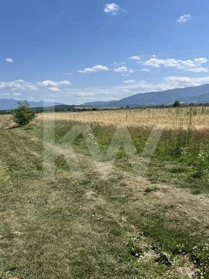 Teren 720 mp Sevi? | 23 m front | Oportunitate investi?ie 24.480 - 2