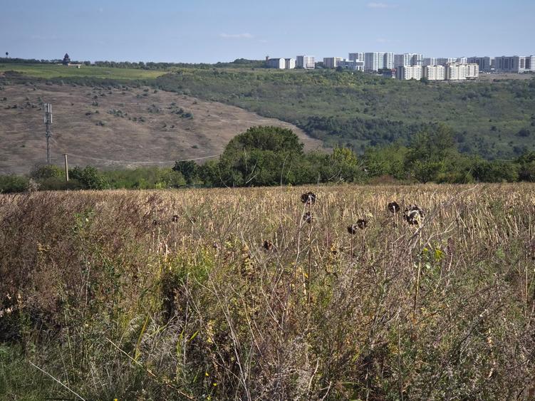 Teren Construcții intravilan de 980 mp, în Păcurari