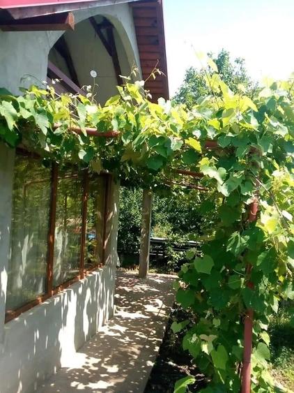 Casă cu 3 camere cu Teren 2645 Mp în Dragalina (Hlipiceni)