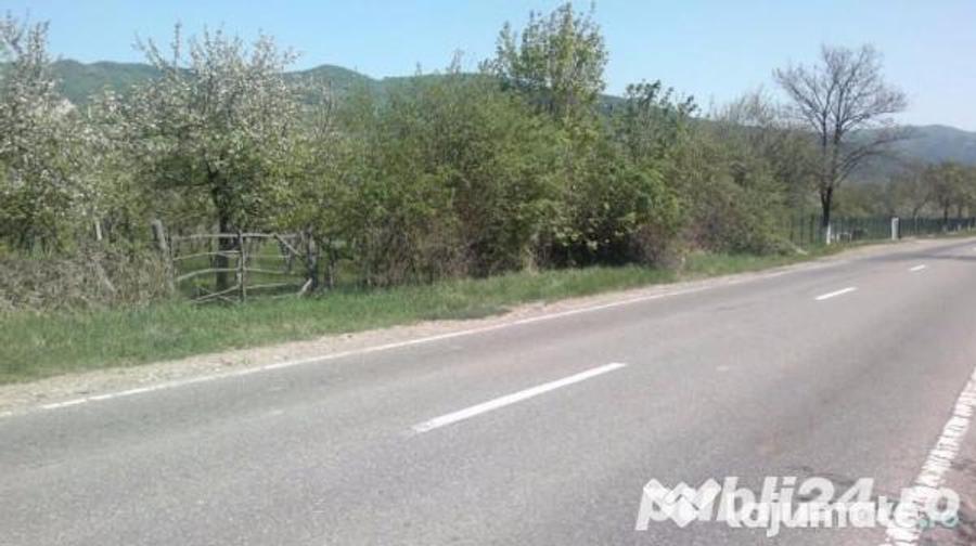 Teren livada 916p in Patarlagele,Buzau cu deschidere de 14m direct la DN10 - 2