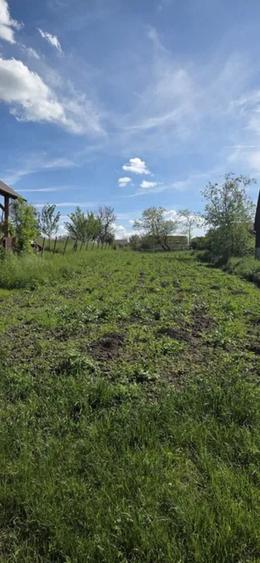 Teren Construcții intravilan de 1572 mp, în Topârcea