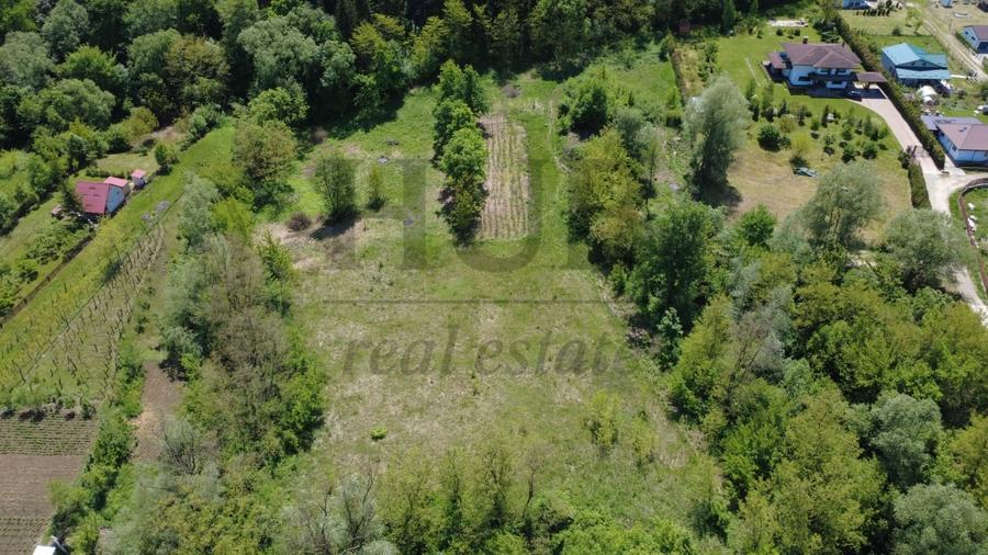 Teren Construcții intravilan de 3128 mp, în Luncani