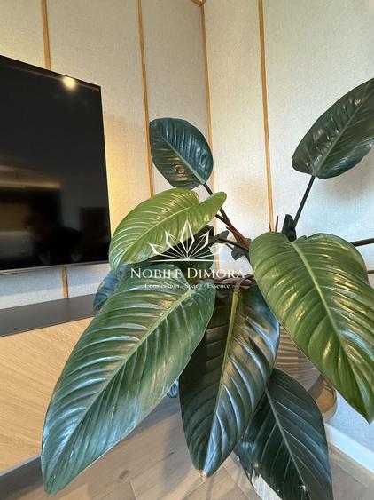 Apartament cu 2 camere semidecomandat, mobilat în Central