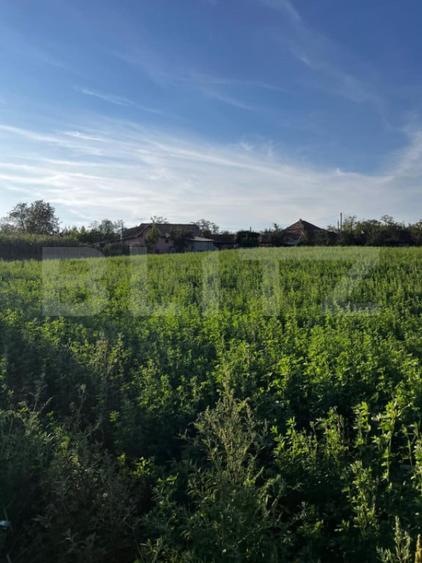 Casa de locuit in Valea Larga, cu teren generos de 5.100 - 3
