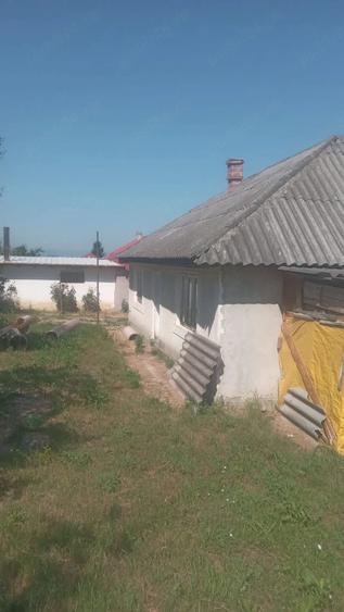 Casă cu Teren 1068 Mp în Homocea