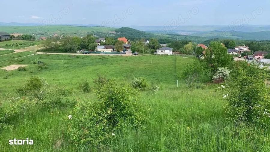 PF Vand Teren Intravilan Salicea - 100Euro mp - 1