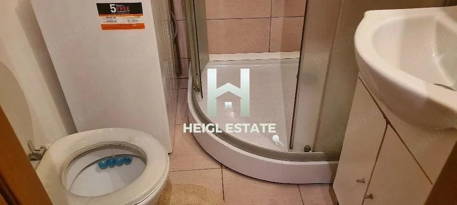 Garsonieră în Șagului