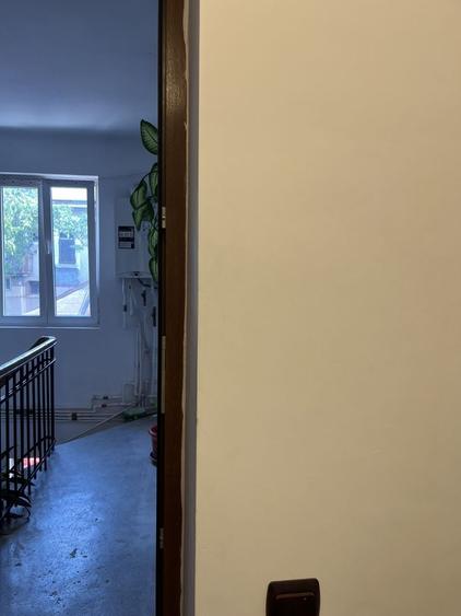 Apartament cu 2 camere nedecomandat în Parcul Carol