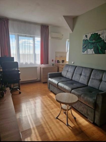Apartament cu 2 camere semidecomandat, mobilat în Șagului