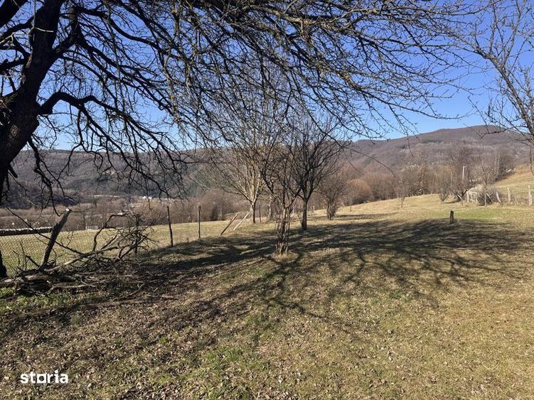 Teren de 3020 mp, în Negreni