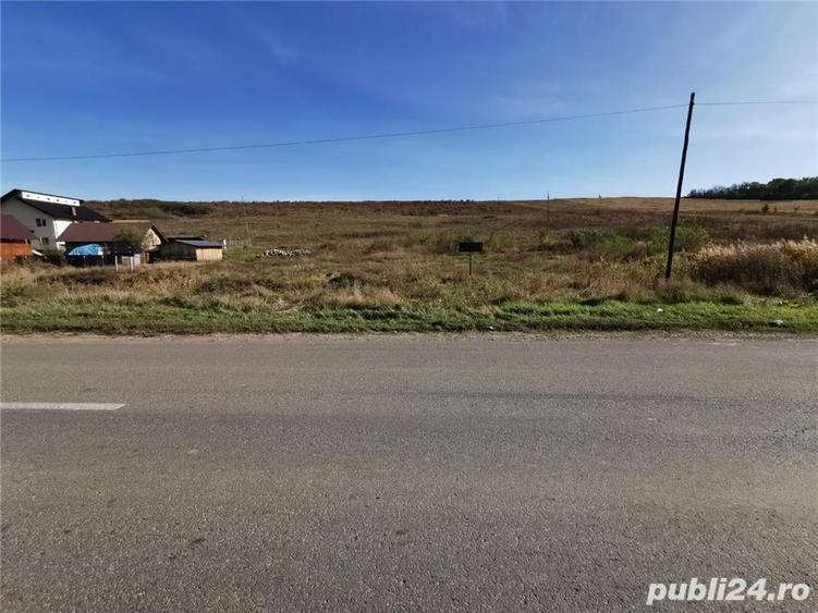 Teren de 5000 mp, în Ciurea