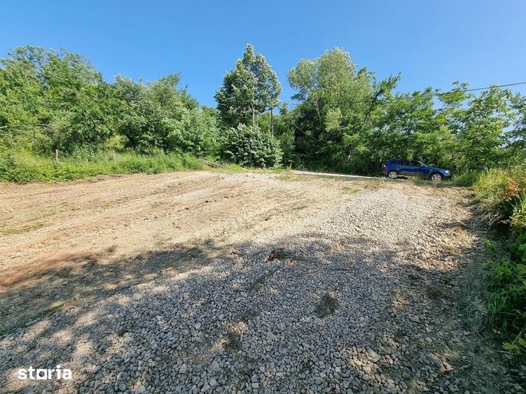 Teren de 1600 mp, în Pucheni