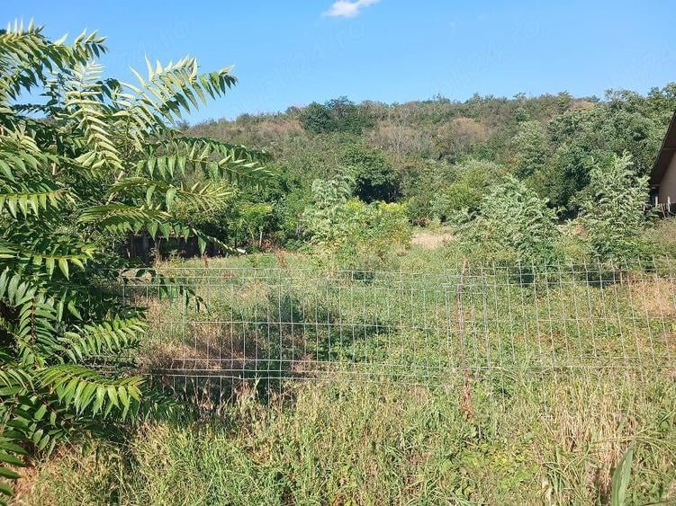 Teren de 1800 mp, în Cernătești