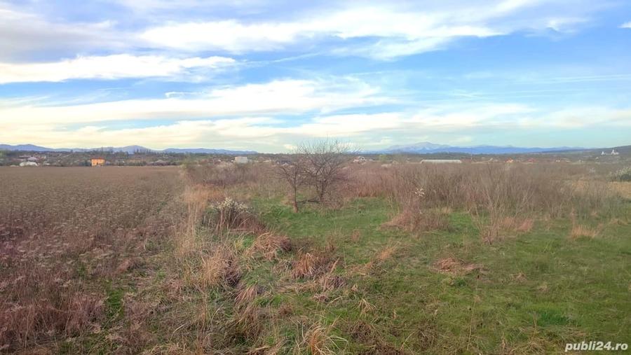 Teren de 11576 mp, în Drăgoeni