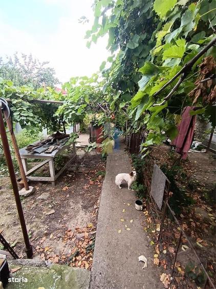 Casa 3 camere caramida si boltari, zona Centrala , Sup terenului 397 - 4