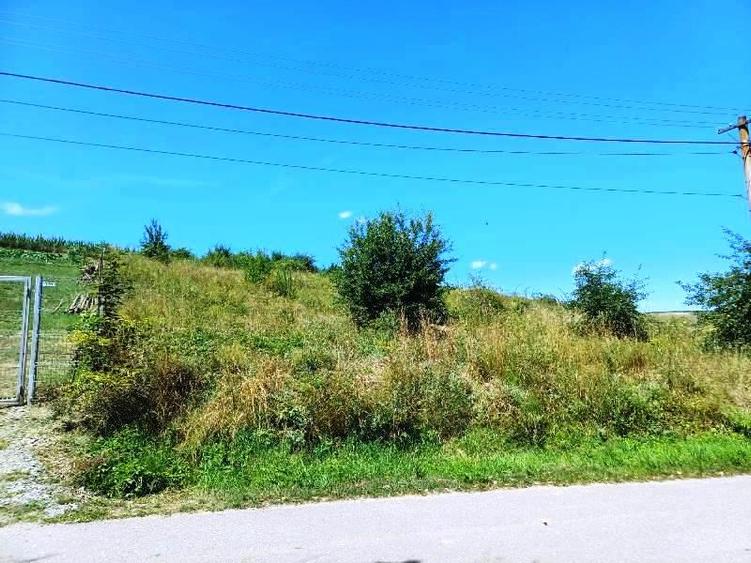 Teren intravilan de 2000 mp, în Ciurila