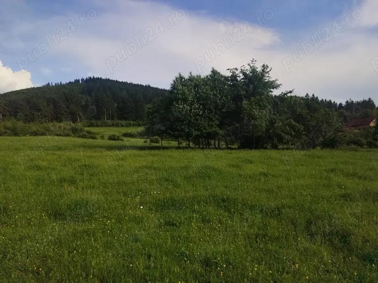 Teren de 4655 mp, în Central
