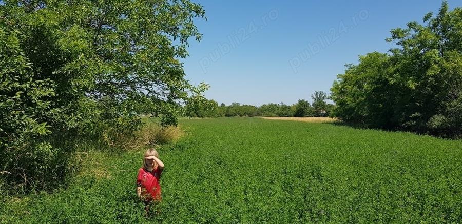 Teren de 8300 mp, în Turnu