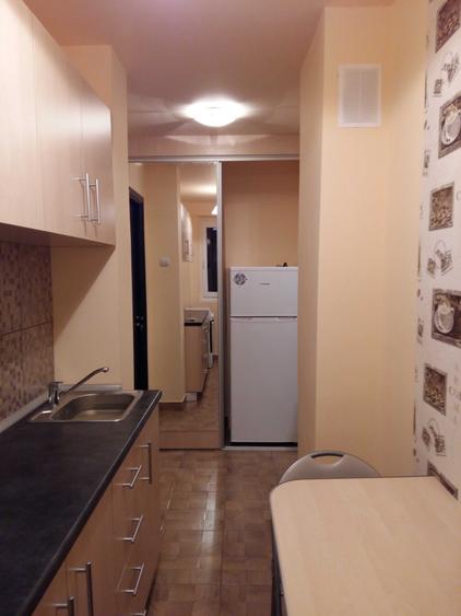 P-ta Victoriei, 2 camere, renovat, bloc izolat - 7