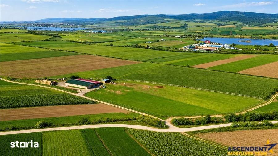 Teren de 18000 mp, în Feldioara