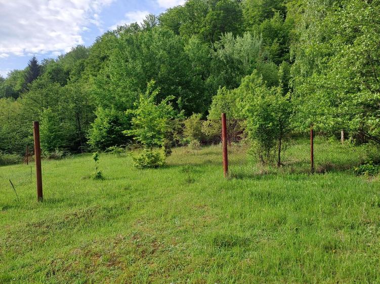 Teren Construcții extravilan de 834 mp, în Berevoești
