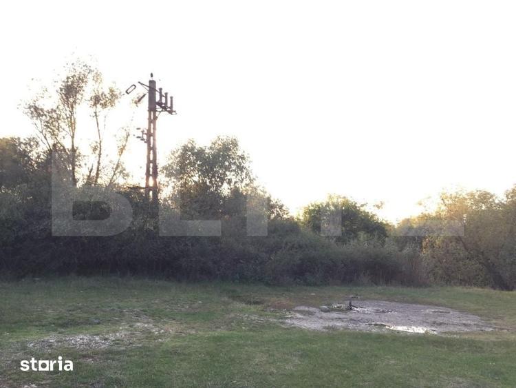 Teren de 25383 mp, în Belinț