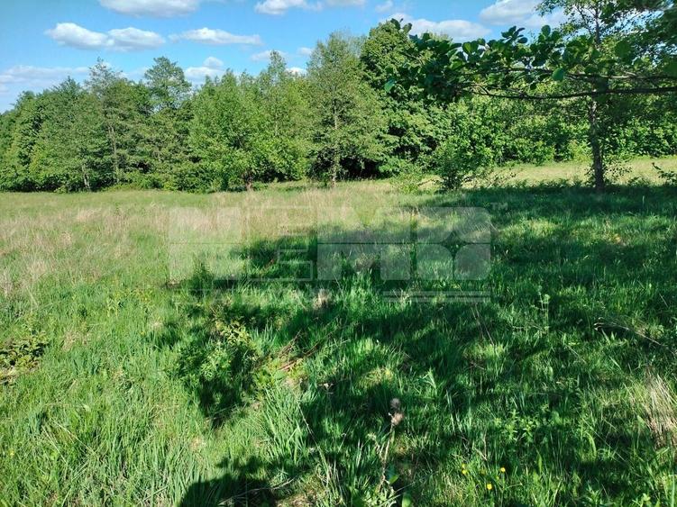 Teren Construcții extravilan de 5000 mp, în Vicovu de Jos