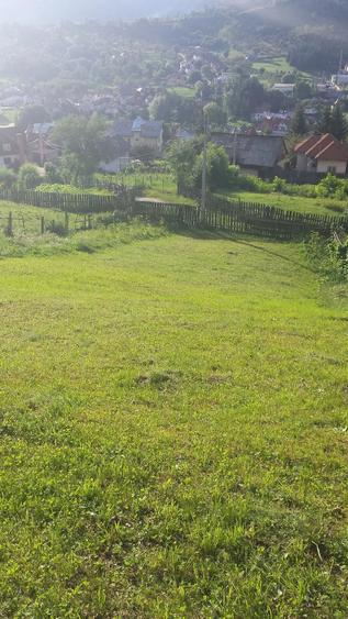 vind teren in com Rucar jud Arges - 3