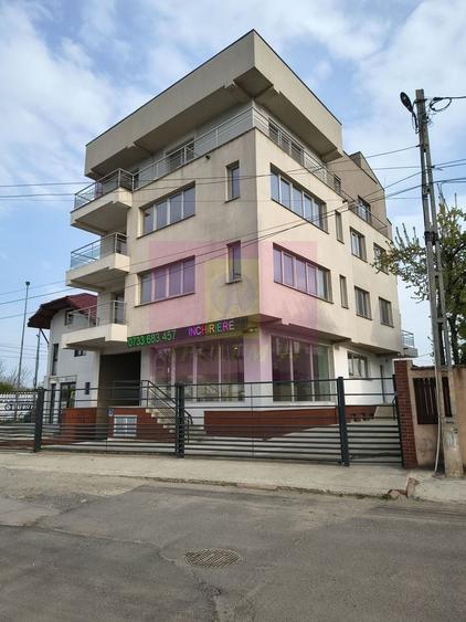 Proprietate specială, de 800 mp, în Theodor Pallady