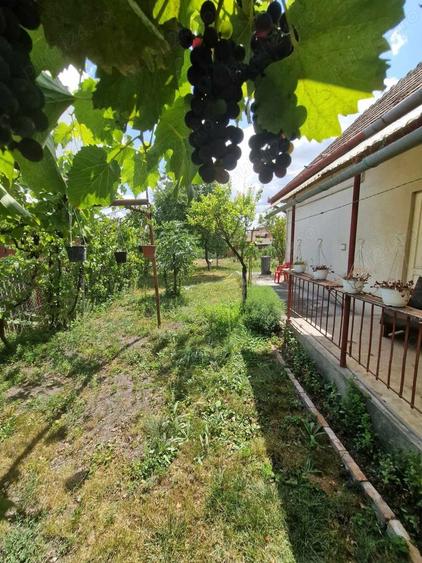 Casă cu 2 camere în Câmpia Turzii
