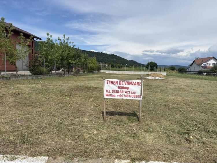 Spațiu comercial, în Copăcelu