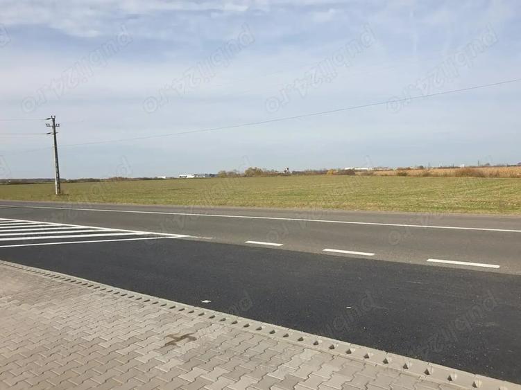 Teren de 32300 mp, în Sud