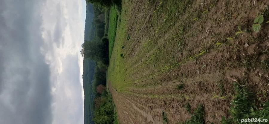 Spațiu comercial, în Voroveni