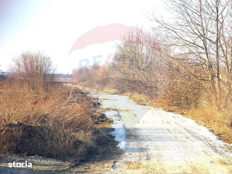 Teren de 4956 mp, în Calea Bârladului