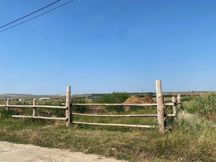 Teren de 36000 mp, în Dumbrava