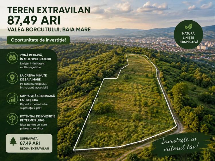 Teren de 8748 mp, în Valea Borcutului