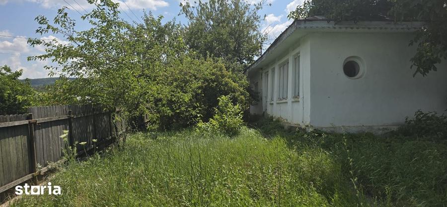 Teren de 5000 mp, în Horlești
