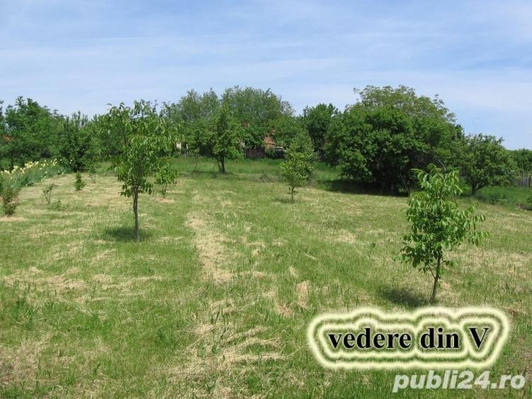 Teren de 1609 mp, în Seciu