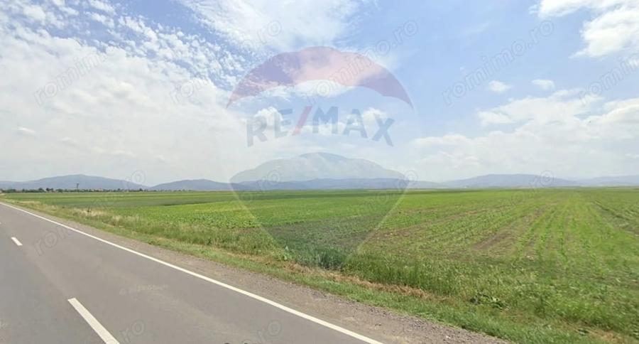 Teren de 6000 mp, în Prejmer