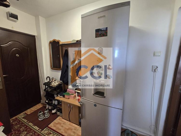 Apartament cu 2 camere nedecomandat, mobilat în Narcisa