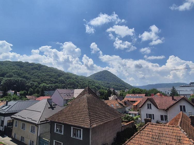 Apartament cu 2 camere nedecomandat în Centrul Civic