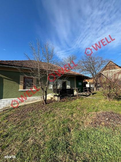 Casă cu 2 camere în Hoghiz