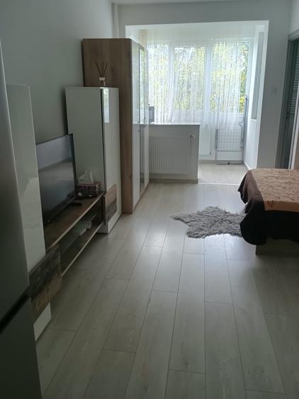Garsonieră nedecomandată în Drumul Taberei