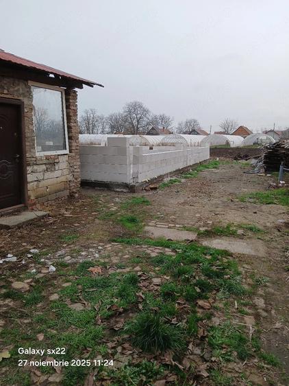 casa tomnatic timis - 3