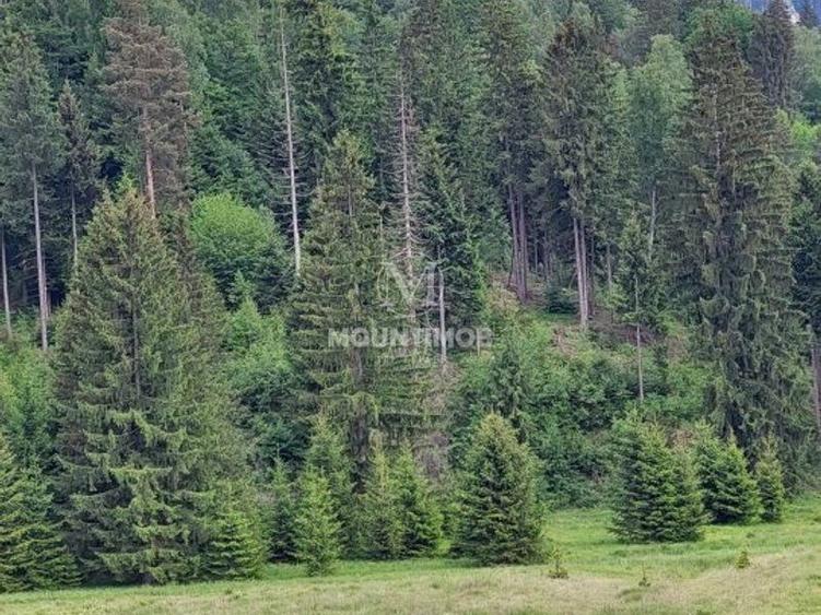 Teren Construcții intravilan de 4698 mp, în Poiana Brașov