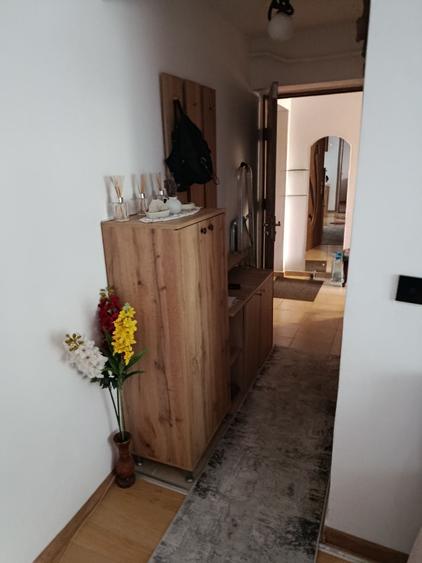 Apartament cu 2 camere semidecomandat în Făcăi