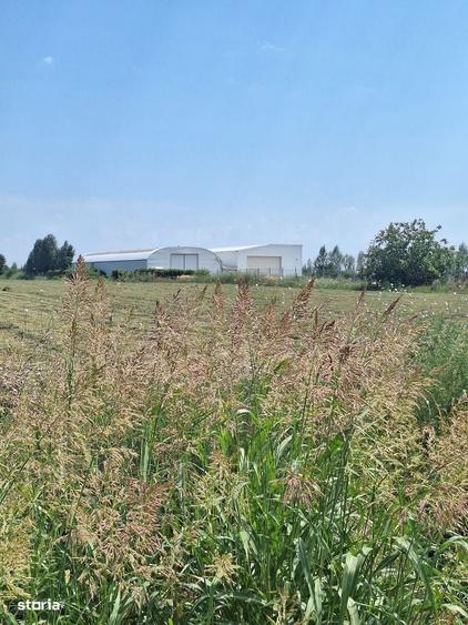 Teren de vanzare 23.298 mp | Ciorogarla, Ilfov |Acces rapid A1 si A0 - 9
