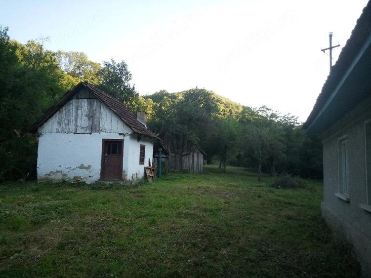Casă cu 2 camere cu Teren 2763 Mp în Hălmagiu