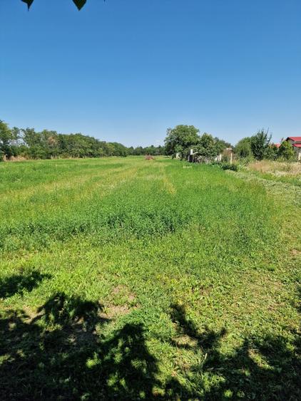 Teren Intravilan / Floresti Prahova 4500mp - 5